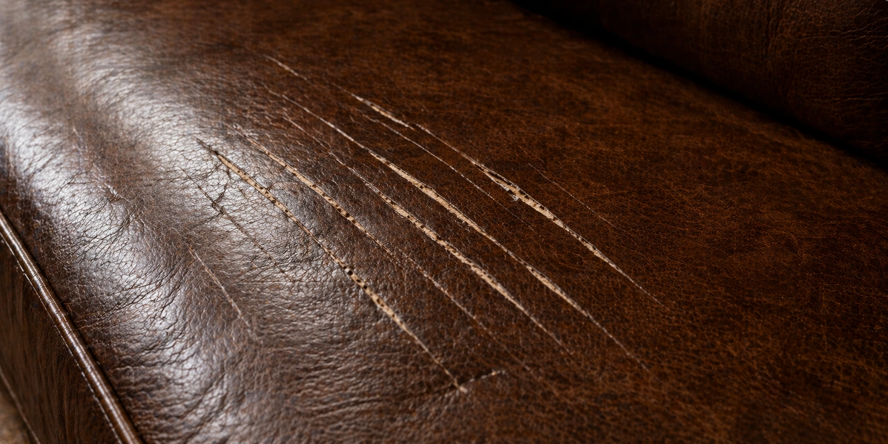 Leather sofa showing scratch vulnerability from cat claws
