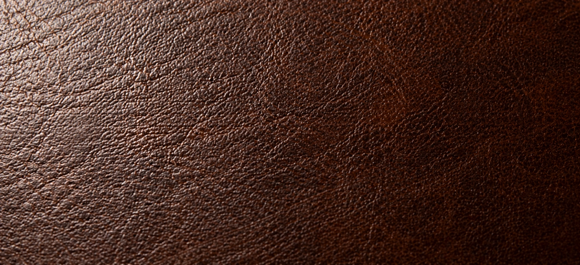 Smooth leather sofa surface showing natural grain texture
