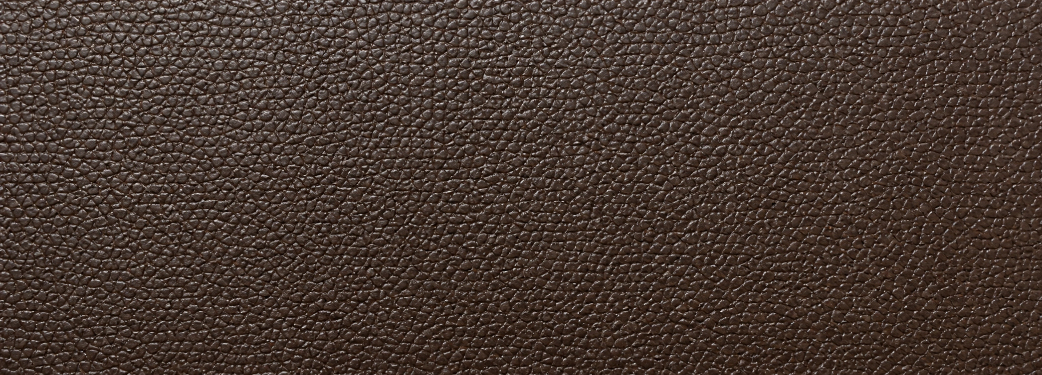 Pigmented protected leather with uniform color and subtle grain pattern