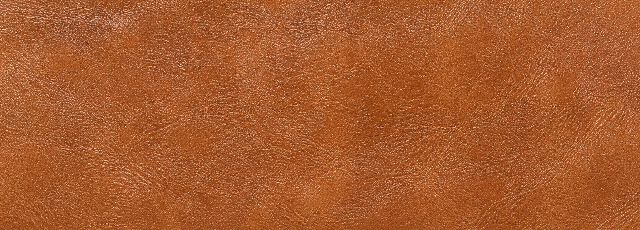 Semi-aniline leather surface showing subtle protective coating over natural grain