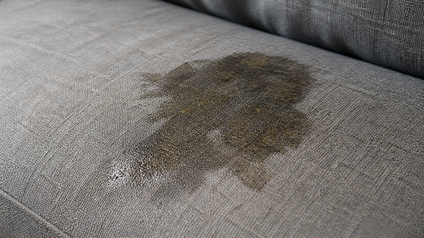 Oil-based grease stain on sofa fabric from food